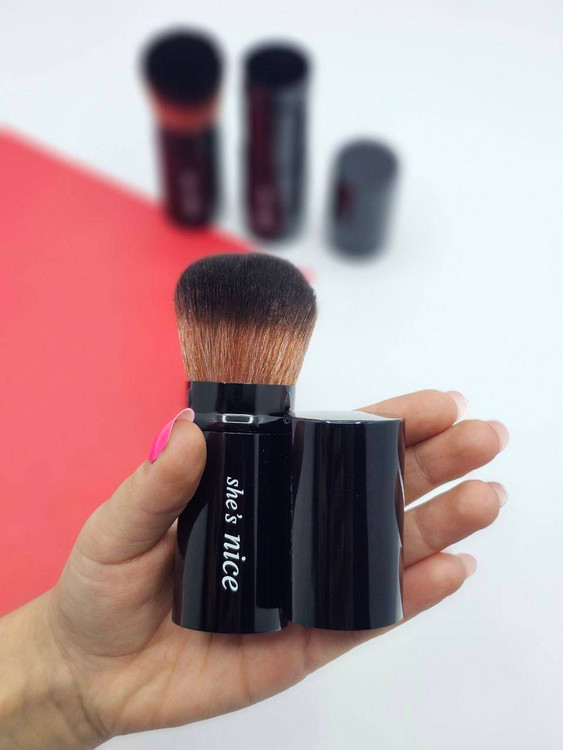 فرچه روژگونه فلزی نایس