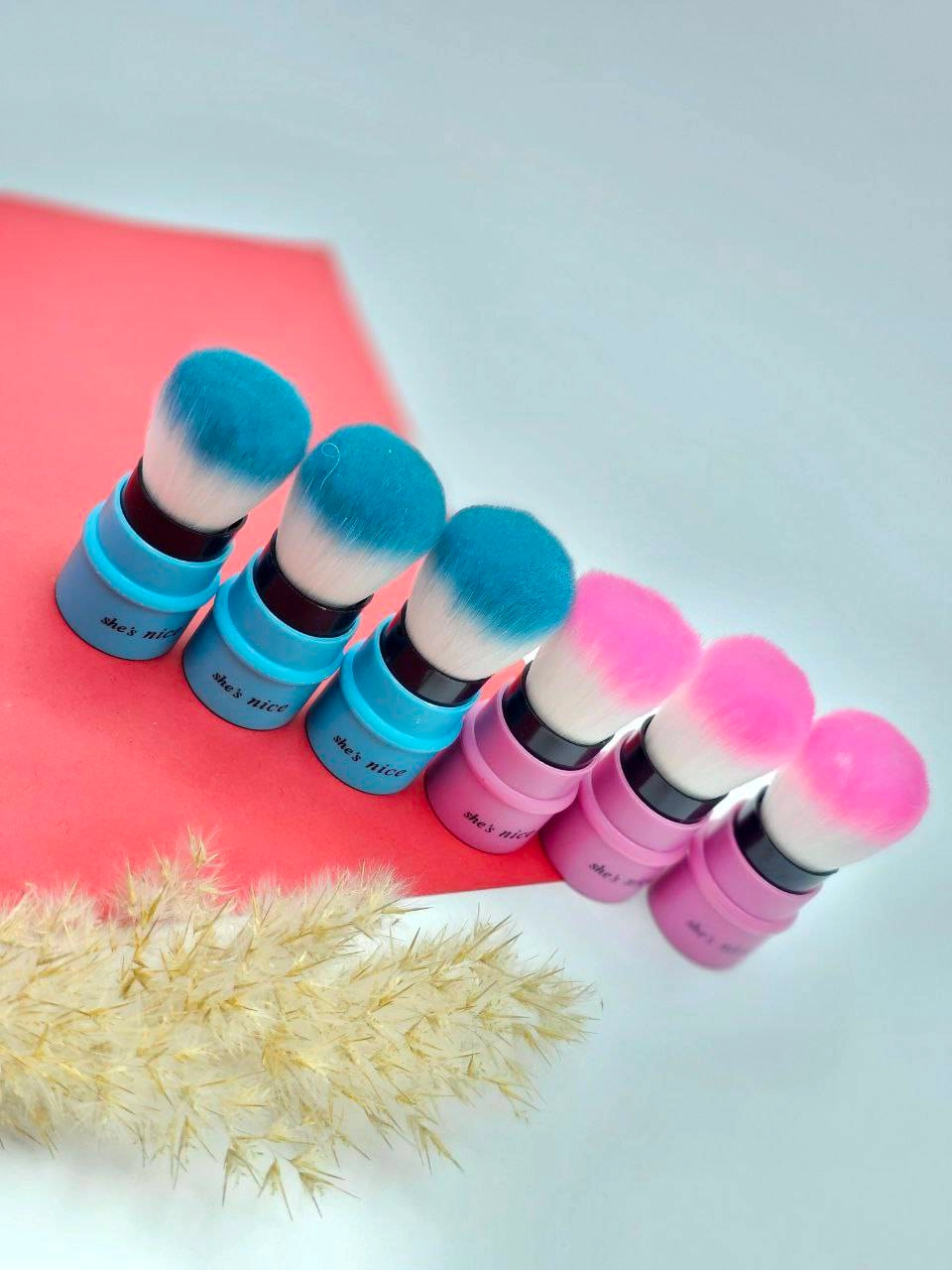 فرچه روژگونه سرامیکی