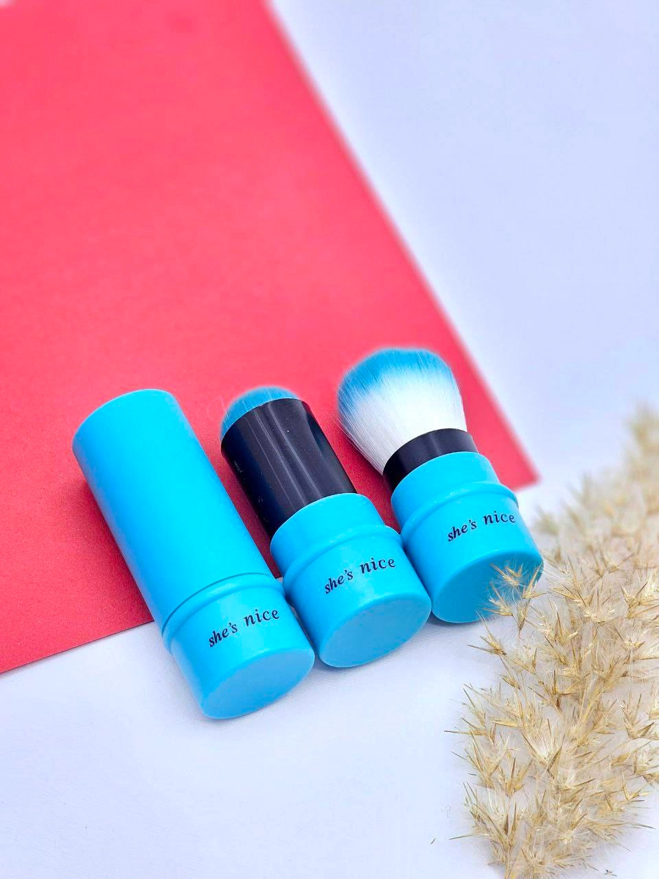 فرچه روژگونه سرامیکی