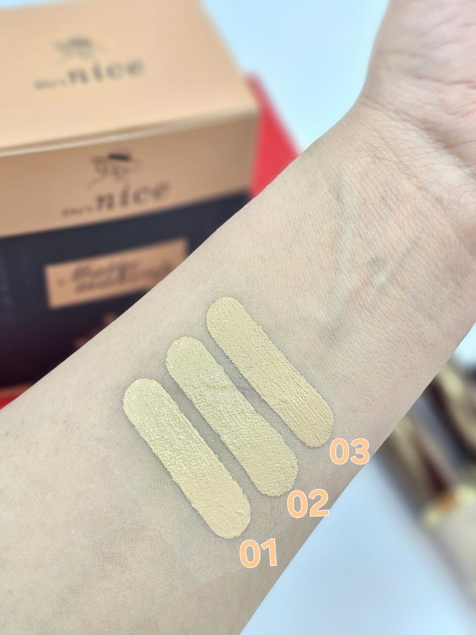 کانسیلر مایع دور چشم نایس فرانسه